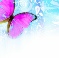 Abundance Workshop